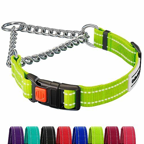 CollarDirect Colliers, harnais et laisses CollarDirect Collier réfléchissant pour Chien Colliers Martingale Boucle à dégagement latéral Chaîne d'entraînement Colliers réglables pour Animaux de Compagnie (S, Tour de Cou 12"-15", Vert Citron)